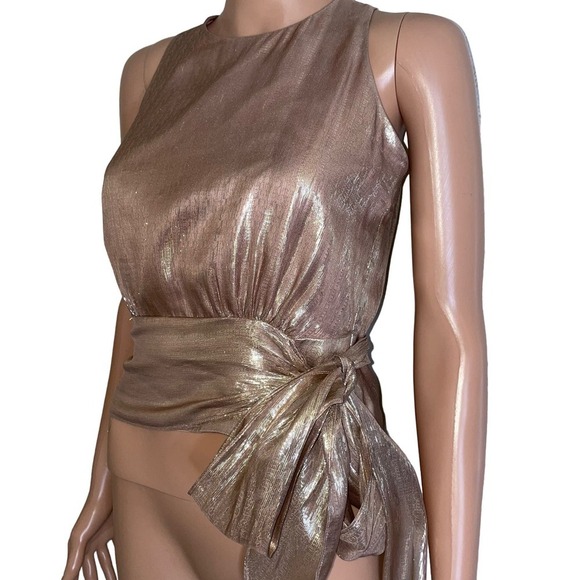MILLY Women's Metallic Lurex Silk blend Chiffon Lauren Top pink waist tie SZ 0 - Picture 2 of 12